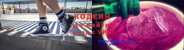 прущие грибы Лабытнанги