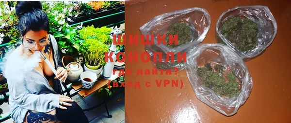 прущие грибы Лабытнанги